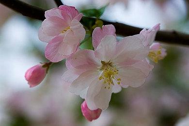 《暗黑4》遇上DLSS 3：最低帧猛增50％